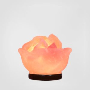 Flower Bowl Salt Lamp
