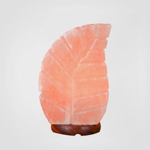 Himalayan Rock Salt Lamp Leaf